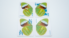 Load image into Gallery viewer, WHAT THE FLY (V3) PLAYING CARDS
