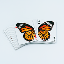 Load image into Gallery viewer, DANAUS PLEXIPPUS PLAYING CARDS
